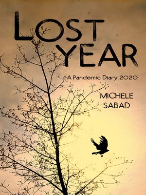 cover image of Lost Year